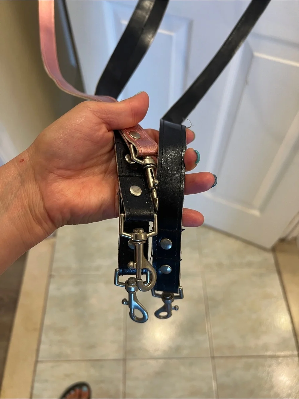 Dog Leashes that can be Personalized